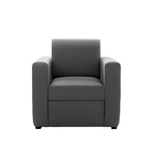 Arm chair Comfort