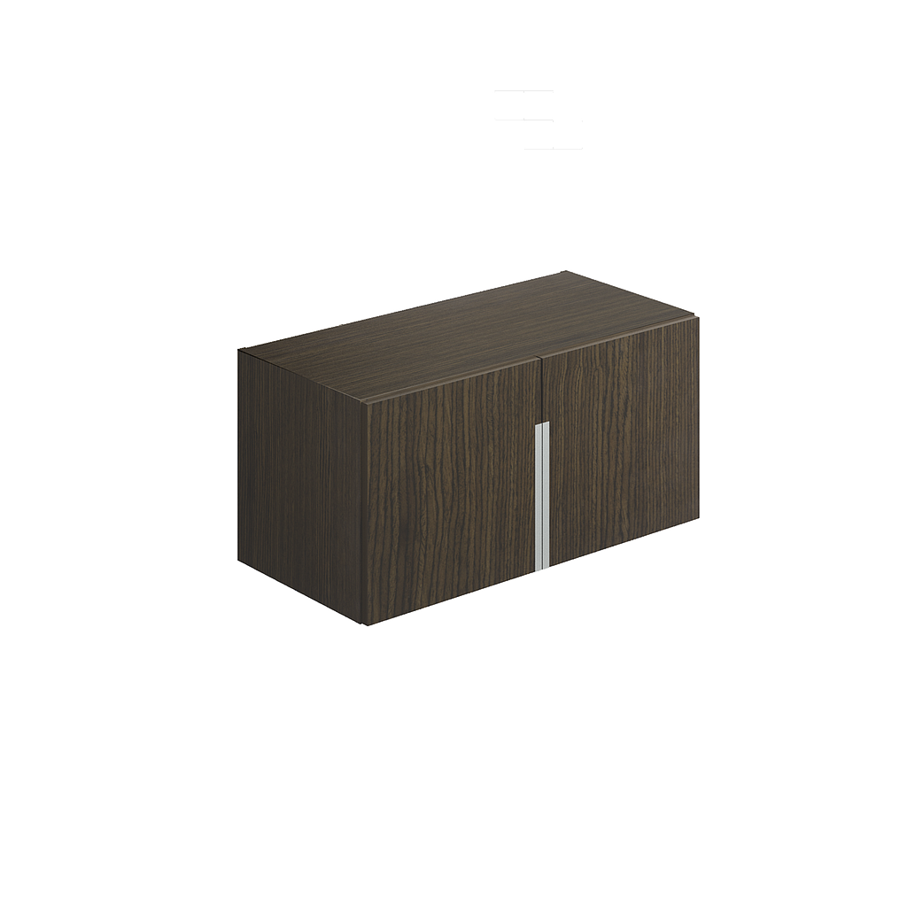 2-Door wall mount 30 x 15 x 15&quot; Bento